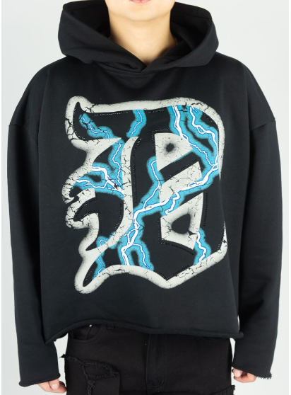 STRUCK CROPPED HOODIE